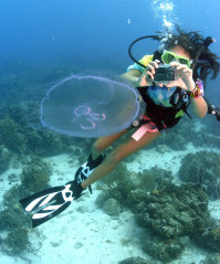 Meta7-199x300.jpg