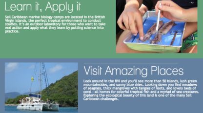 Sail-Caribbean-Marine-Biology-Camp.jpg