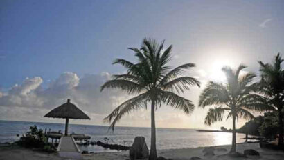 A beach with palm trees and a gazebo.