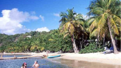 A beach with palm trees and people swimming in the water.