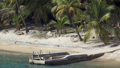 A boat docked on a beach next to palm trees.