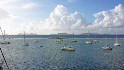 A group of sailboats docked in a calm body of water.