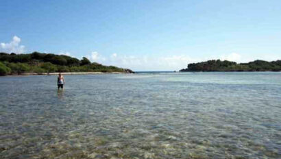 A man is standing in the water near a small island.