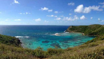 A view of the ocean from a hillside.