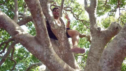 A man sitting on top of a tree.