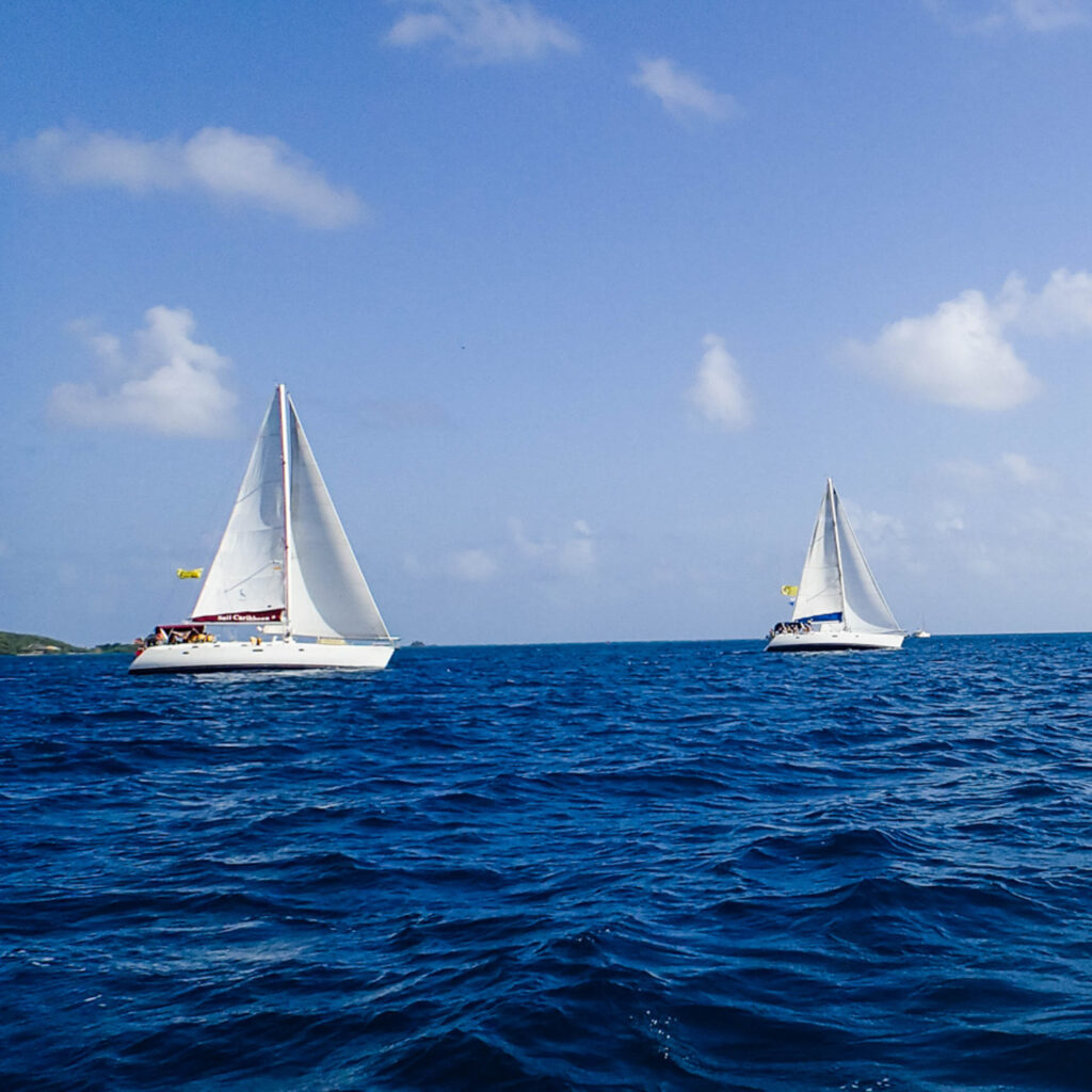 A group of sailboats in the ocean.