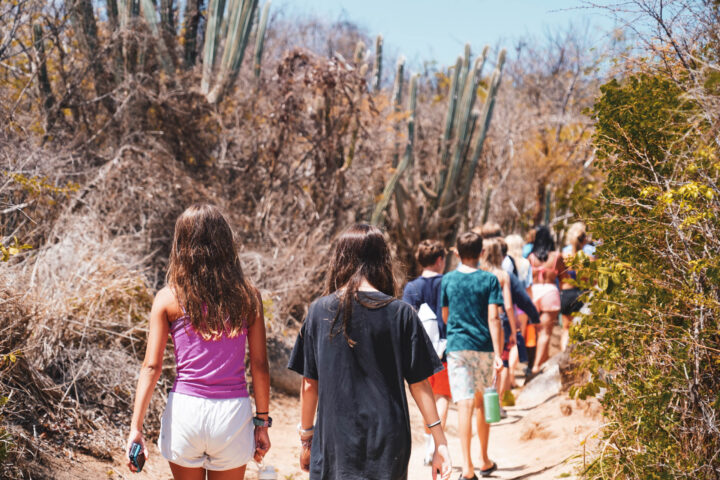 A group of people walking down a trail with cactus plants.