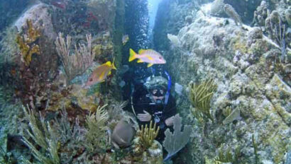 A scuba diver under water with fish.