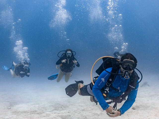 Group of people scuba diving together.