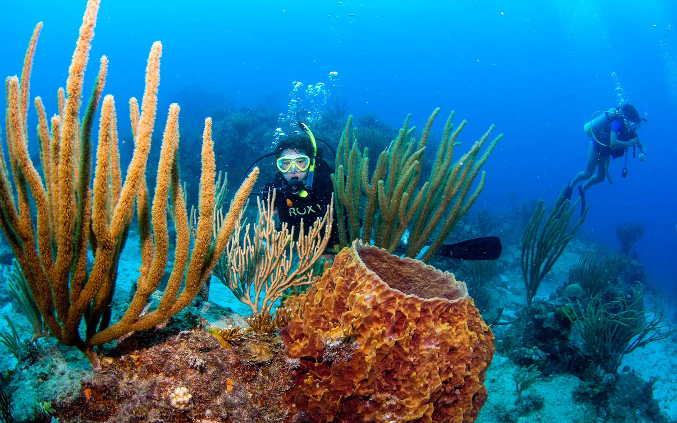 Scuba diving in the caribbean.