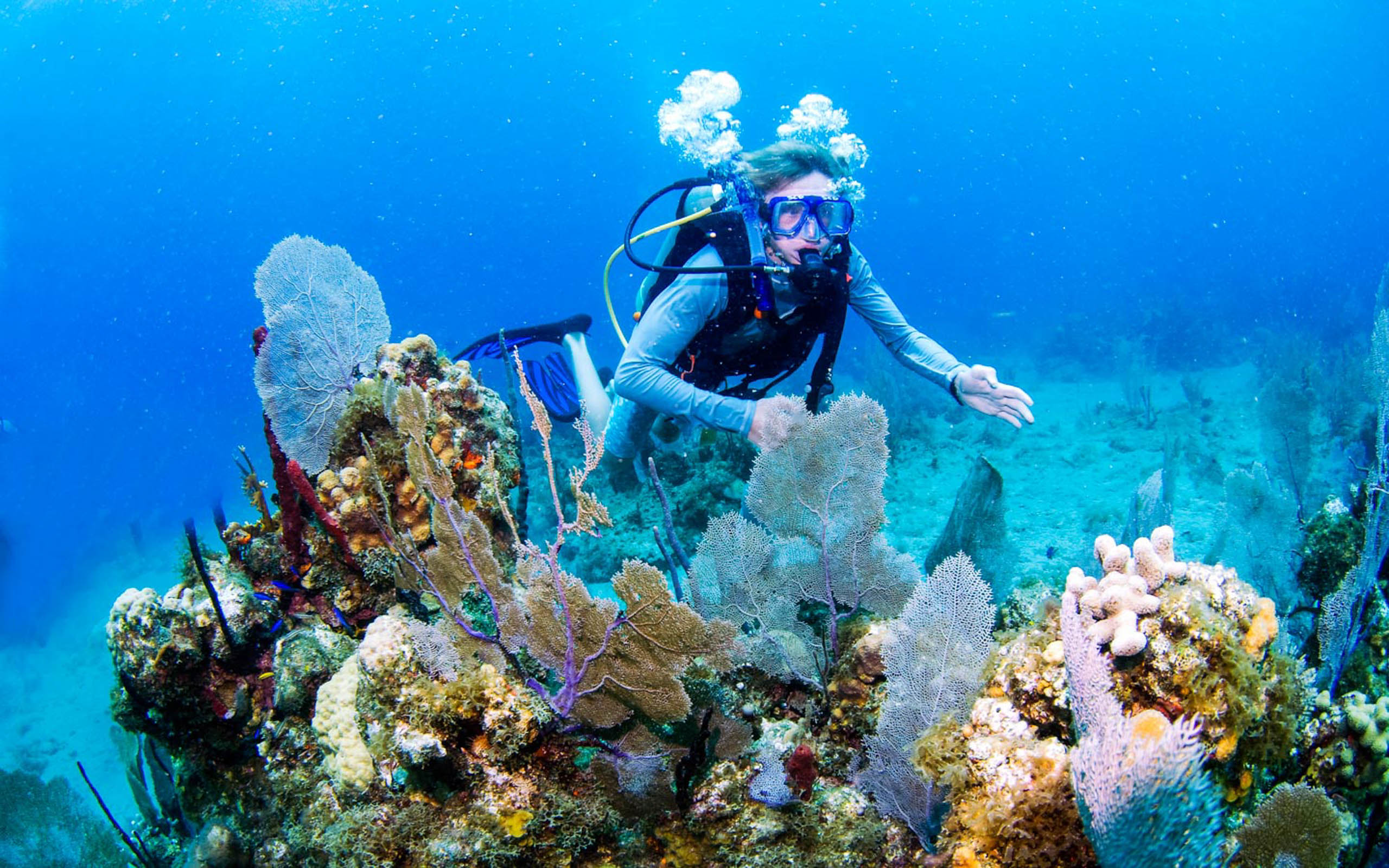 A scuba diver on a coral reef.