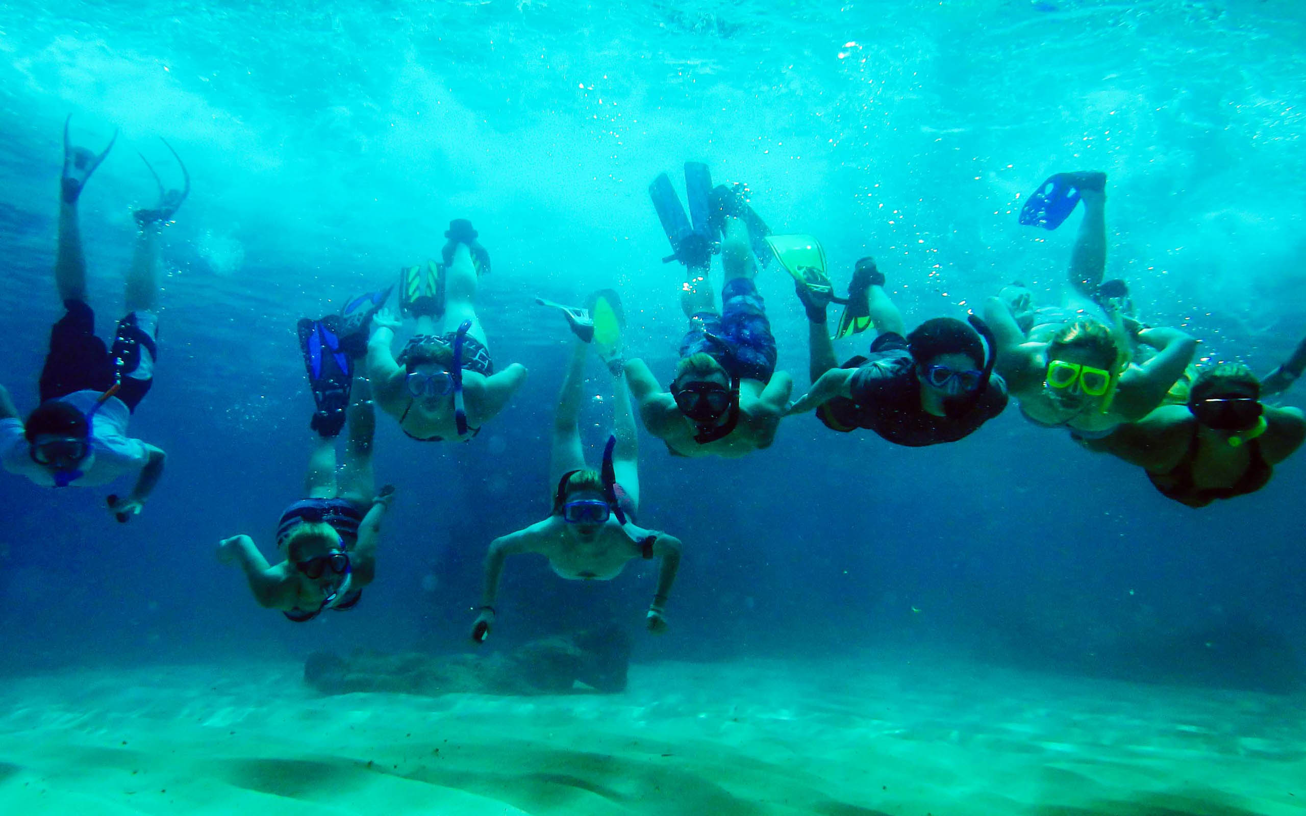 A group of people snorkling under the water.