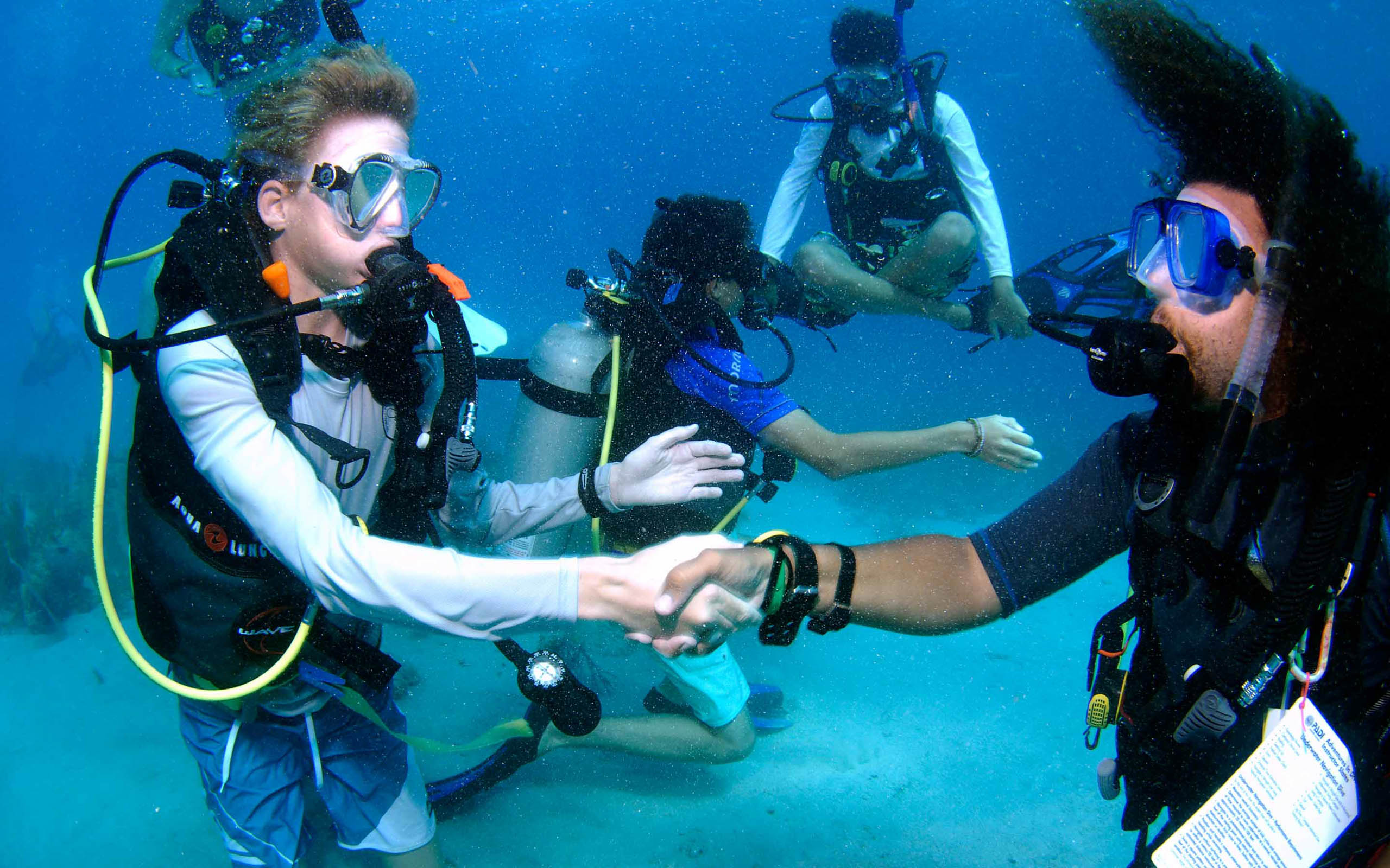 A group of people scuba diving in the ocean.
