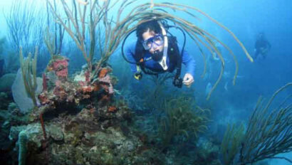 A person in a scuba diving suit under water.