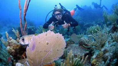 A scuba diver swimming under water.