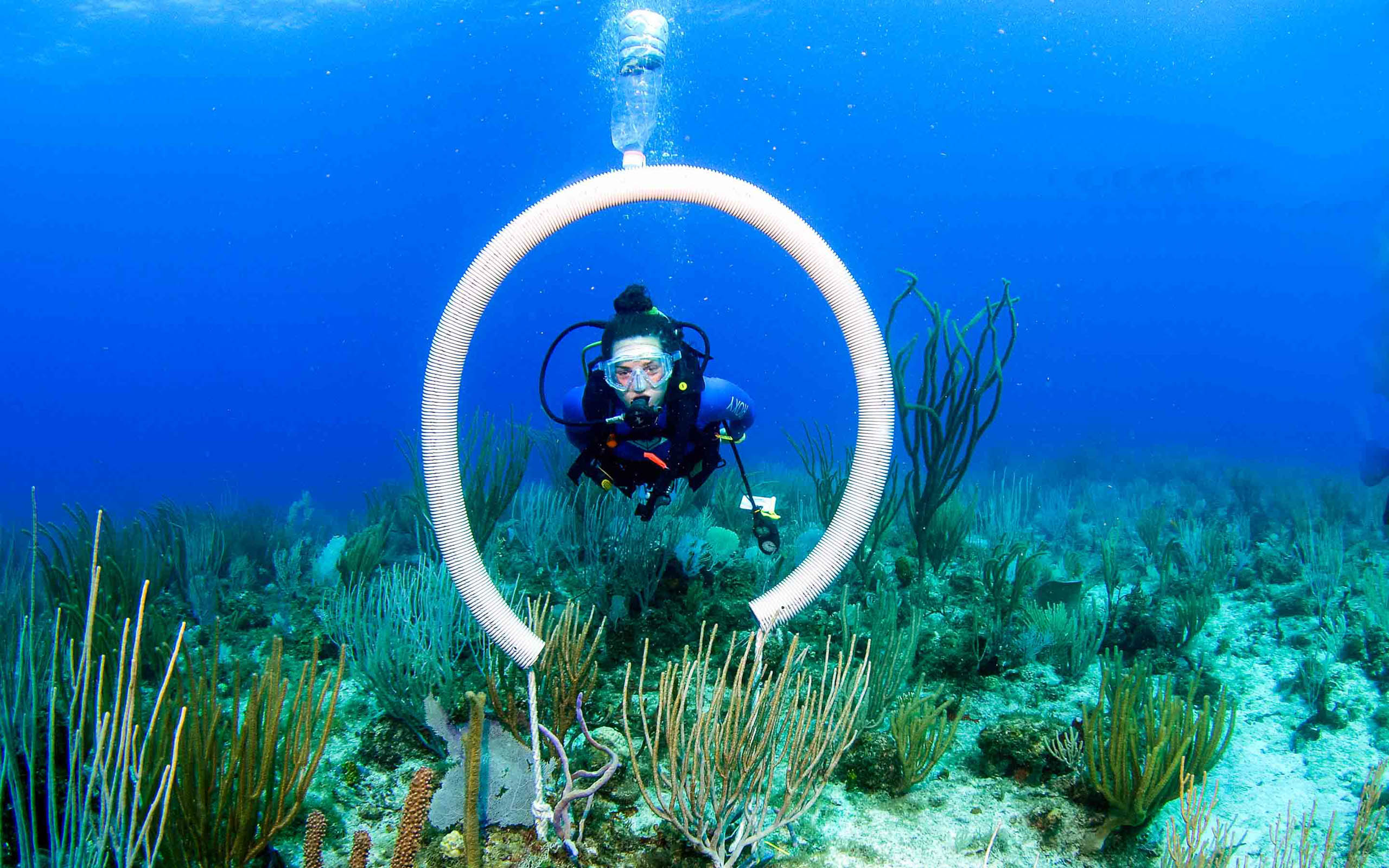 A scuba diver with a hose in the water.