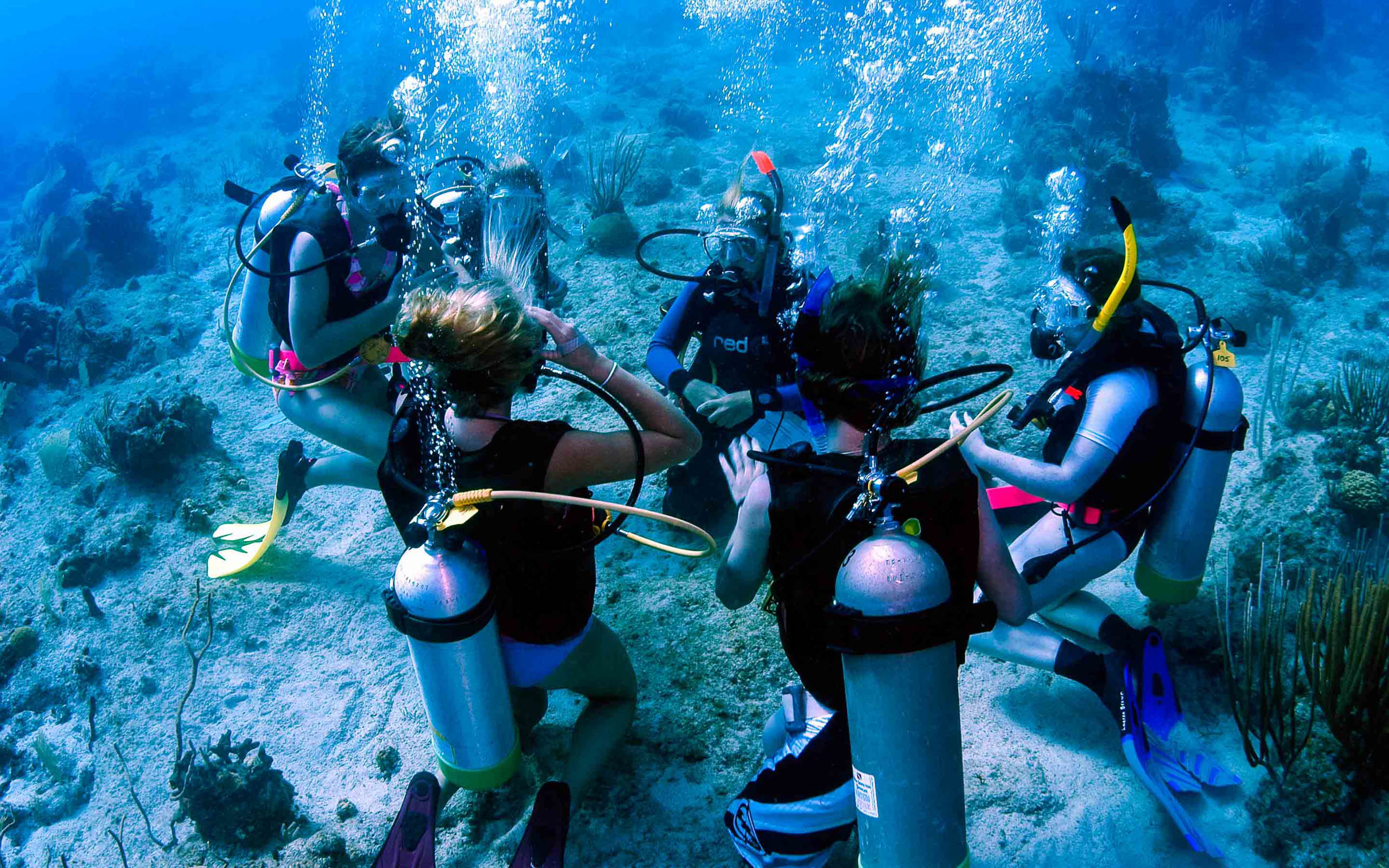 A group of people scuba diving in the ocean.