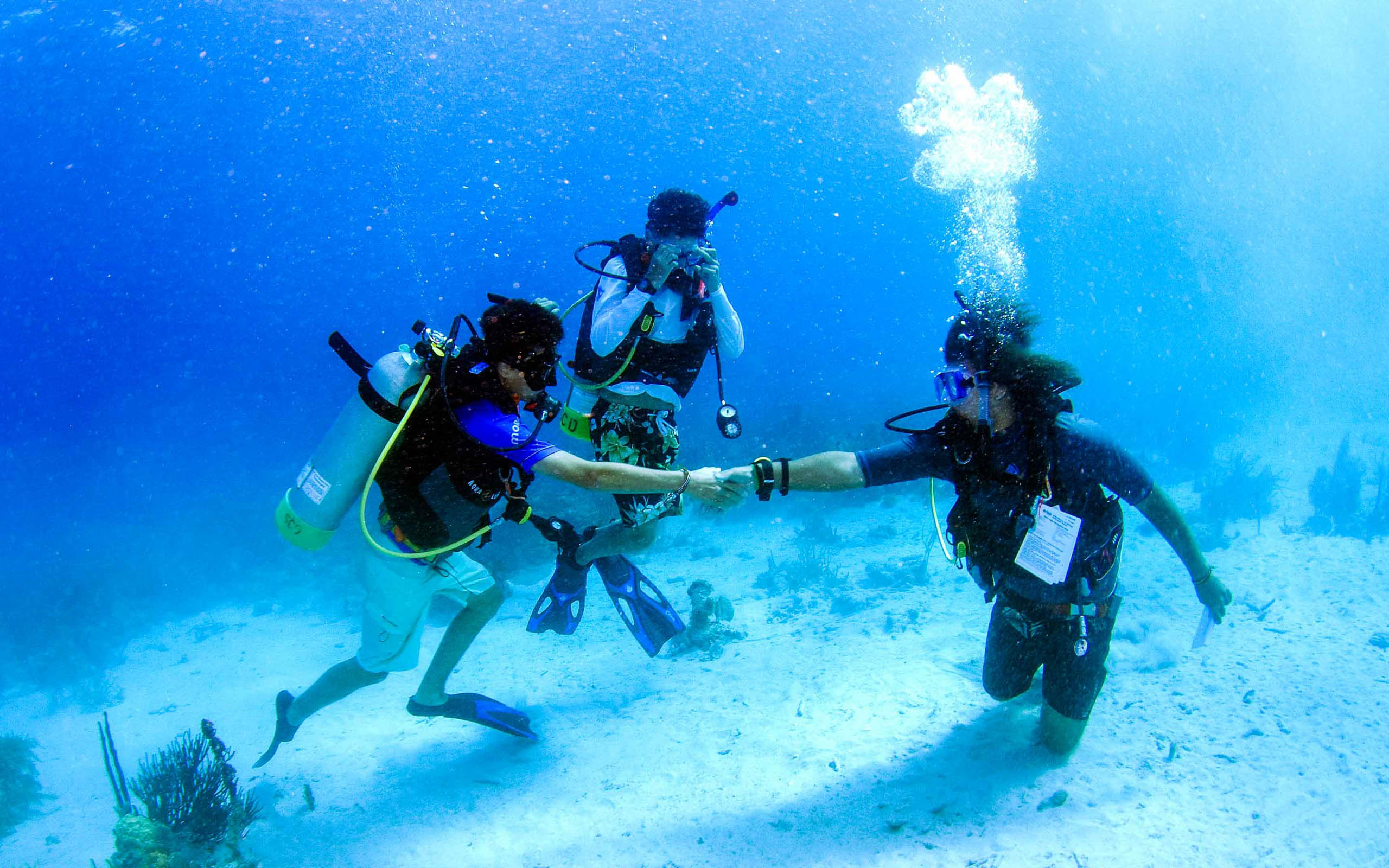A group of people scuba diving in the ocean.