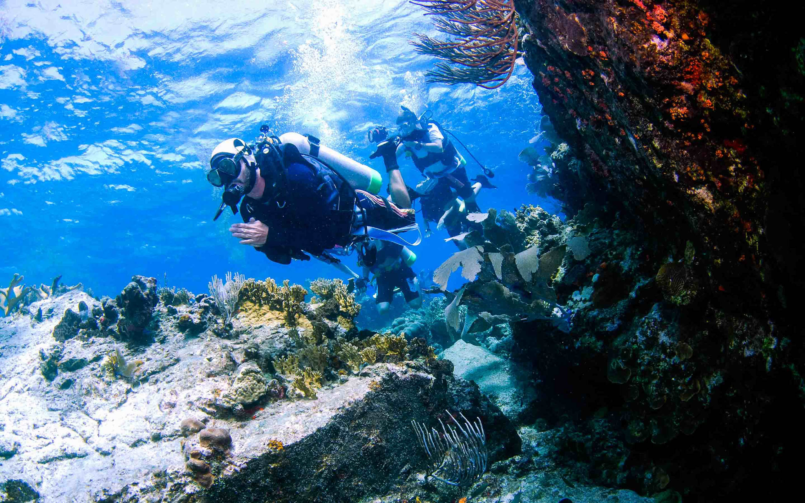 A group of people scuba diving in the ocean.