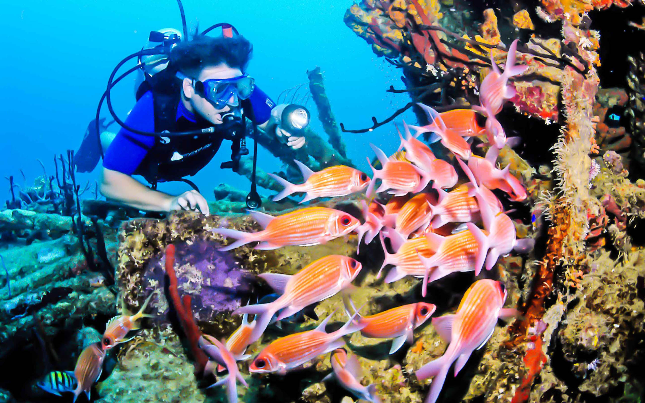A scuba diver looking at a group of colorful fish.