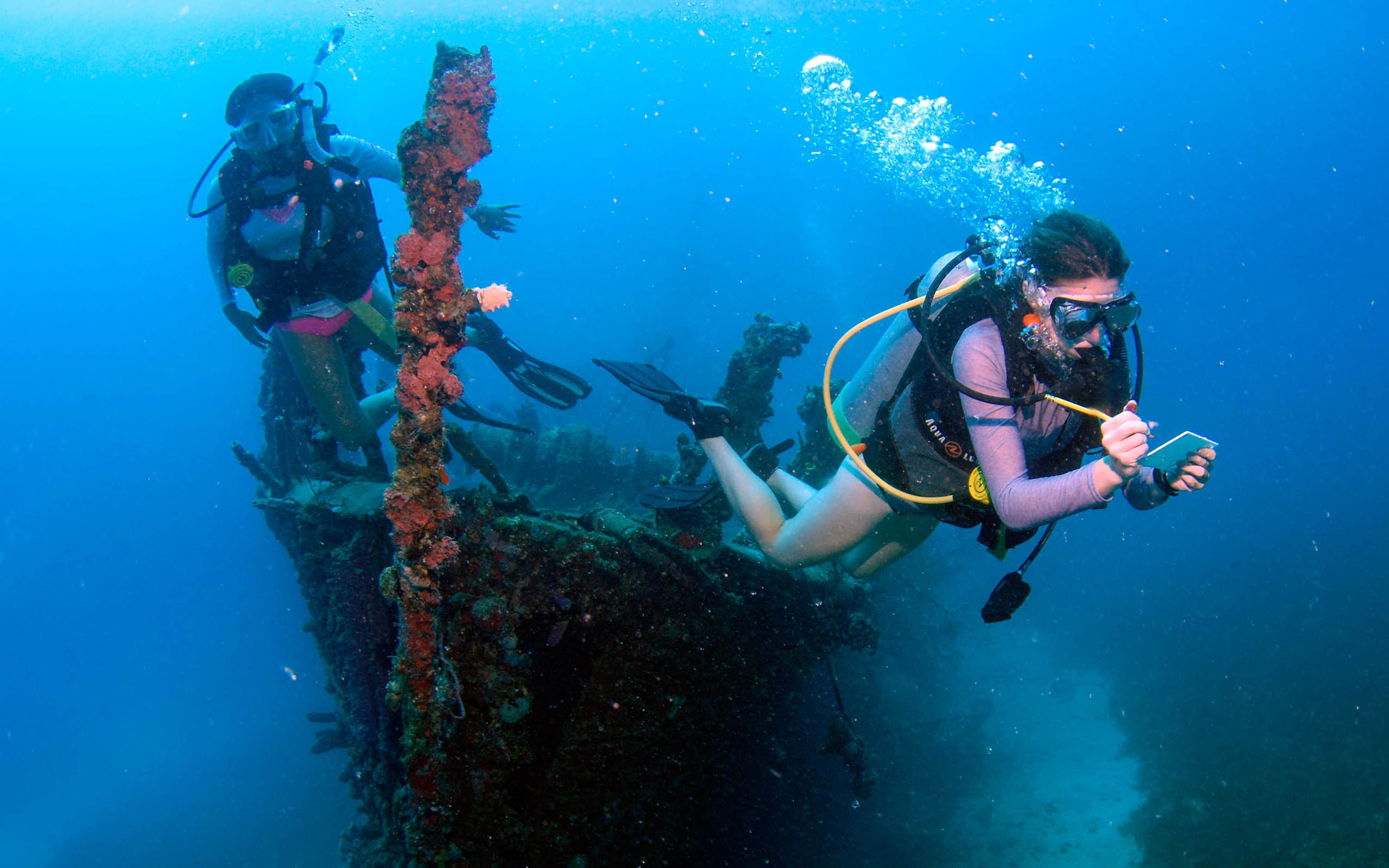 Two people scuba diving on an old ship.