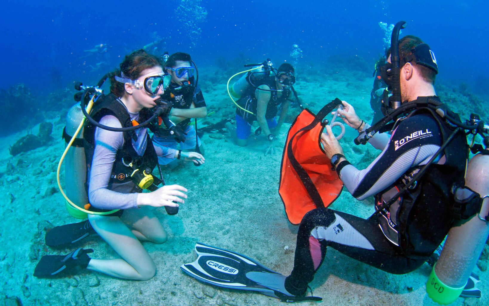 A group of people scuba diving in the ocean.