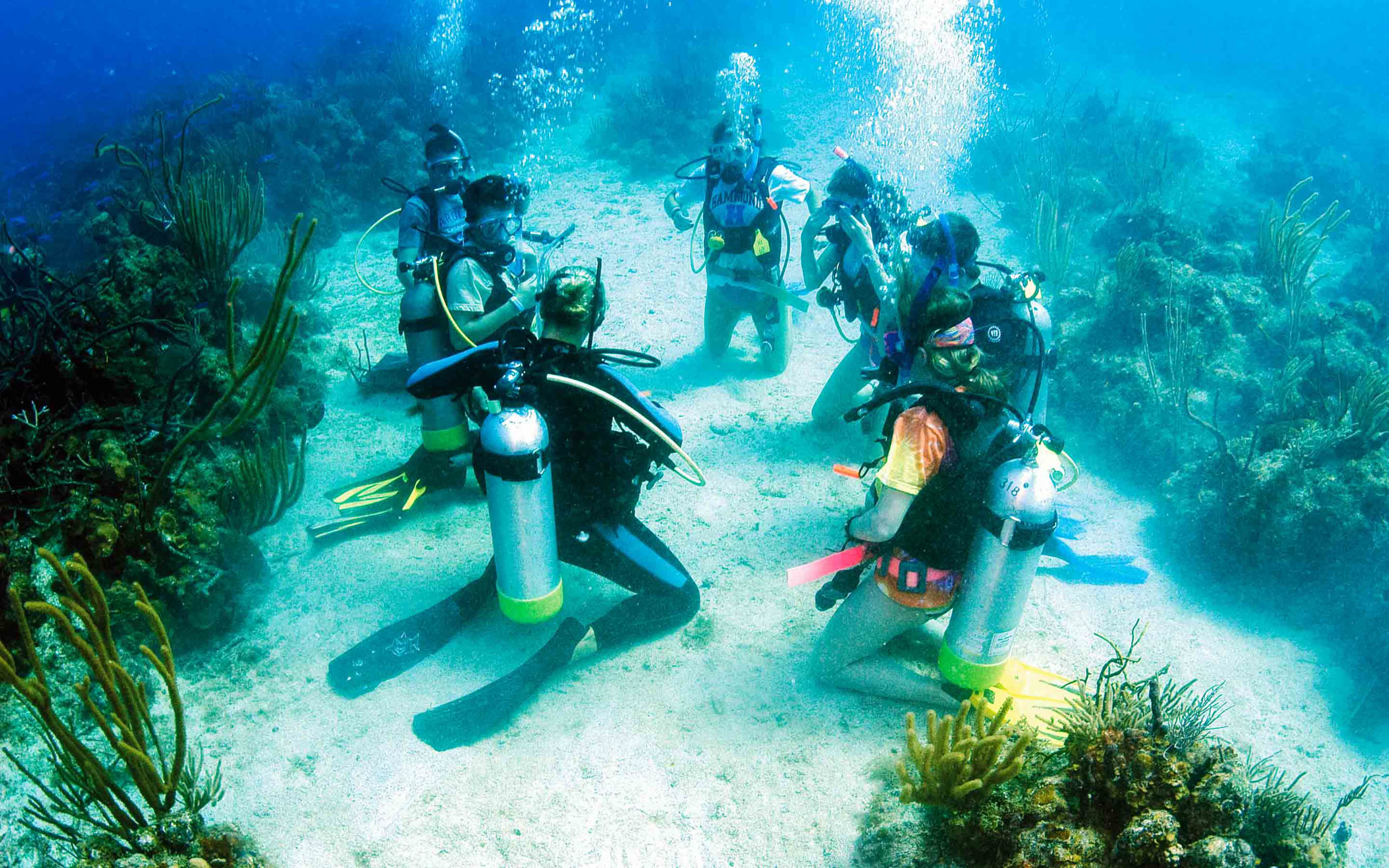 A group of people scuba diving in the ocean.