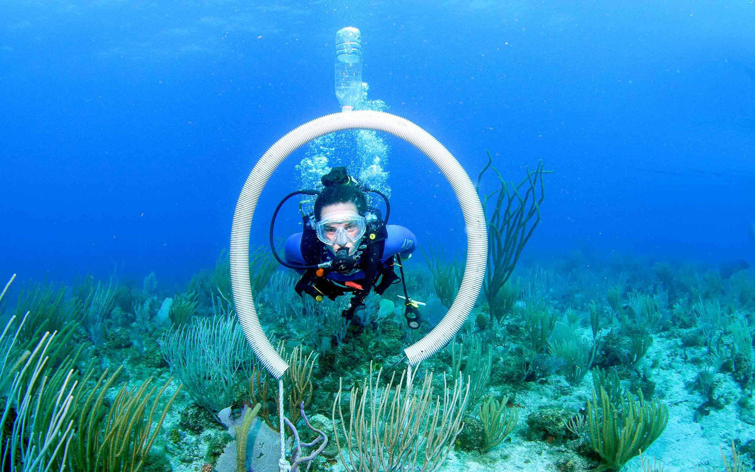 A scuba diver with a hose in the water.