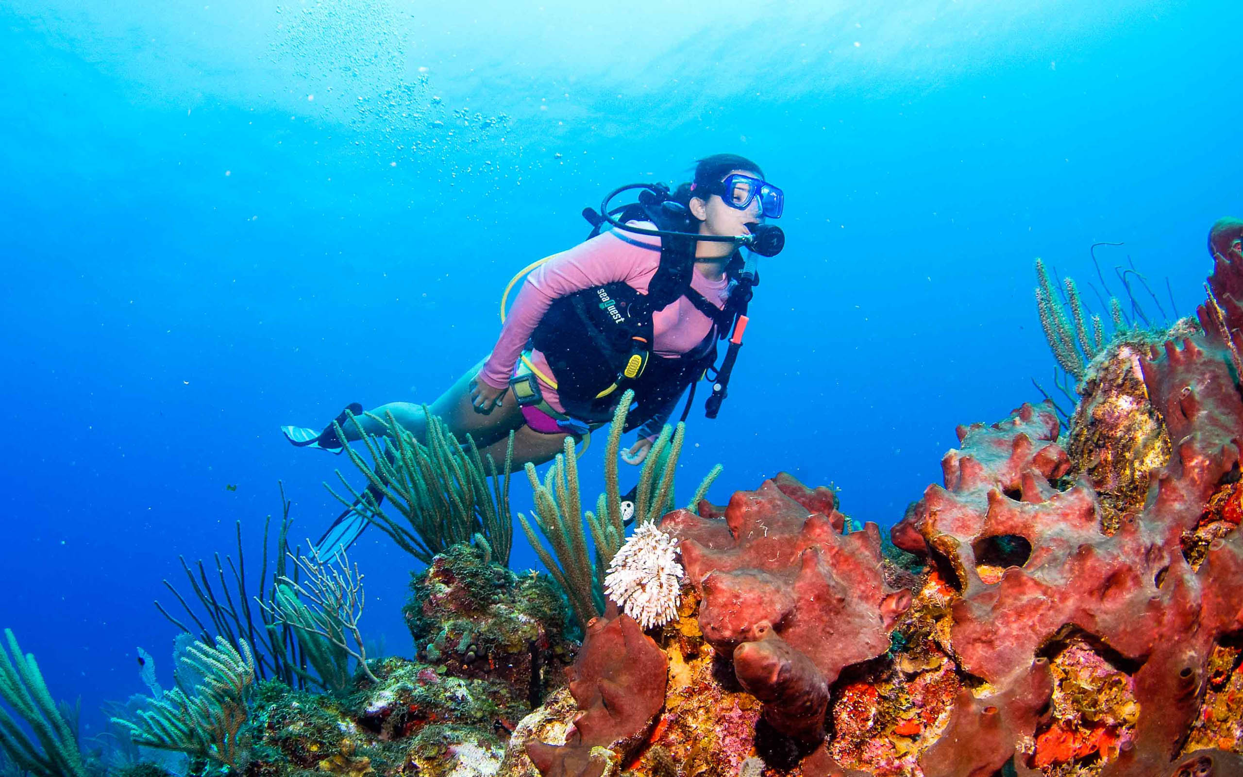A woman scuba diving near coral reefs.