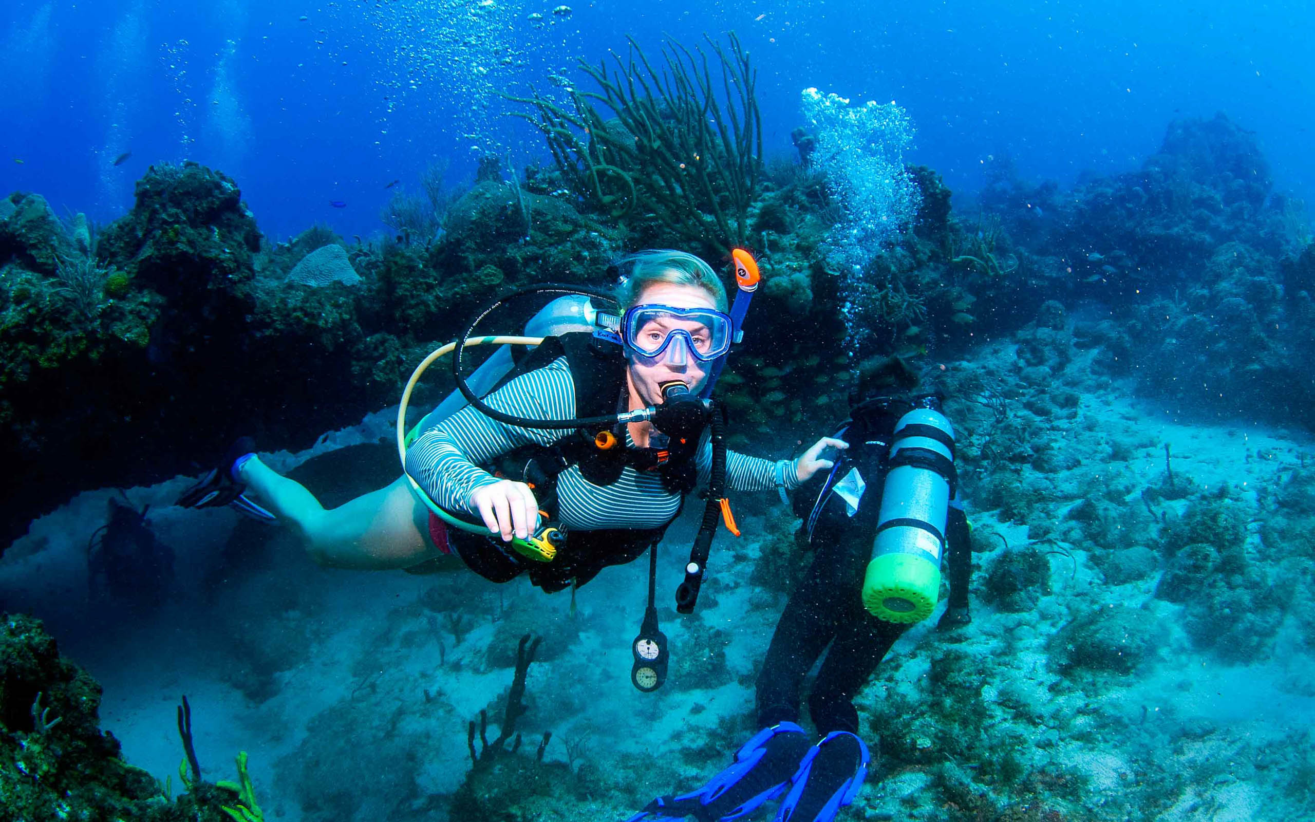 Scuba diving in the caribbean.