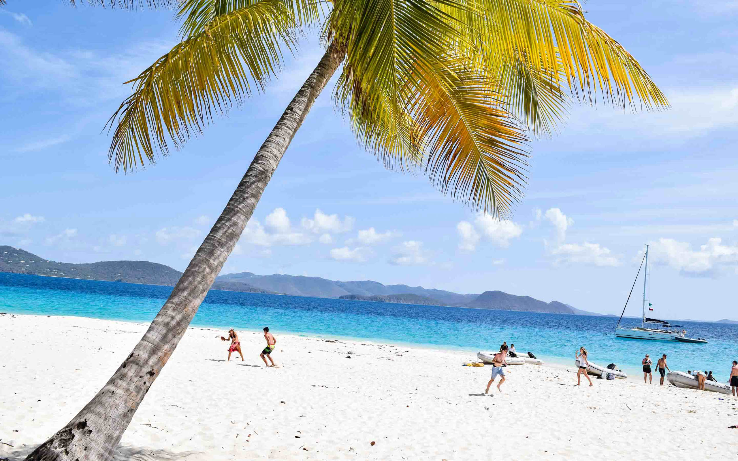 A white sandy beach with a palm tree.