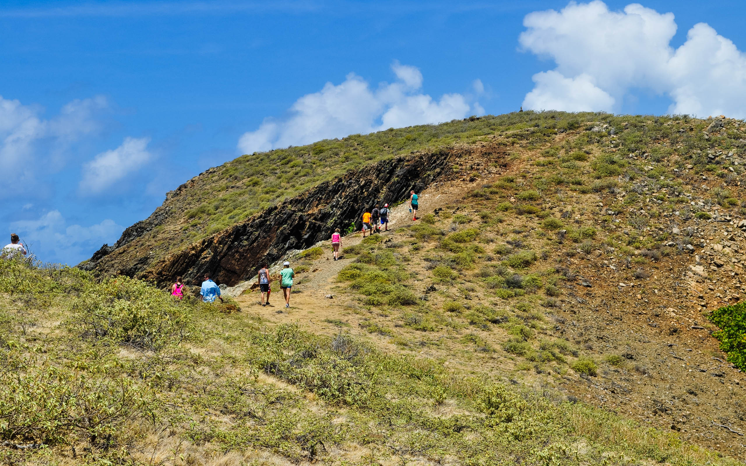 A group of people hiking up a hill.