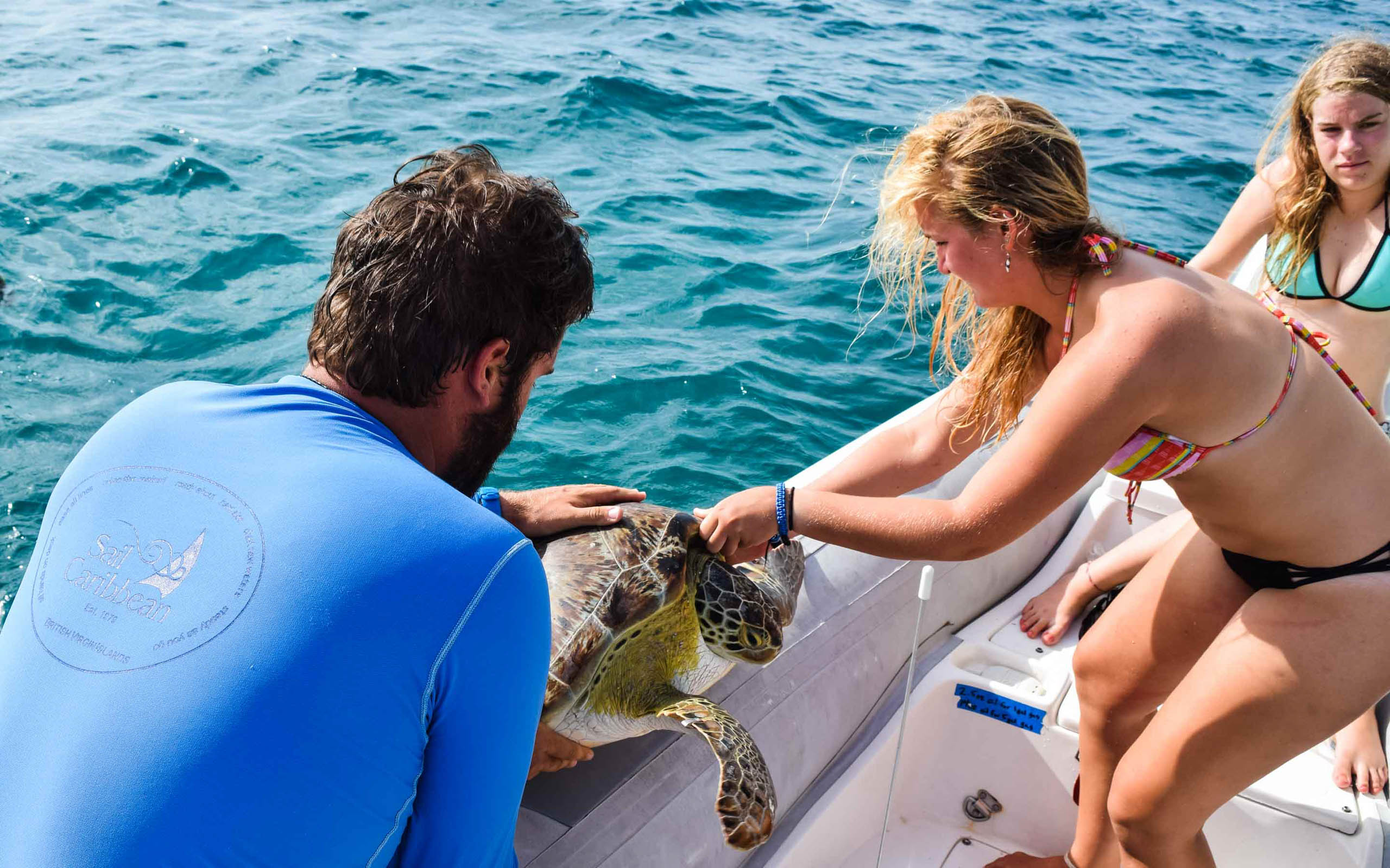 A group of people petting a turtle on a boat.