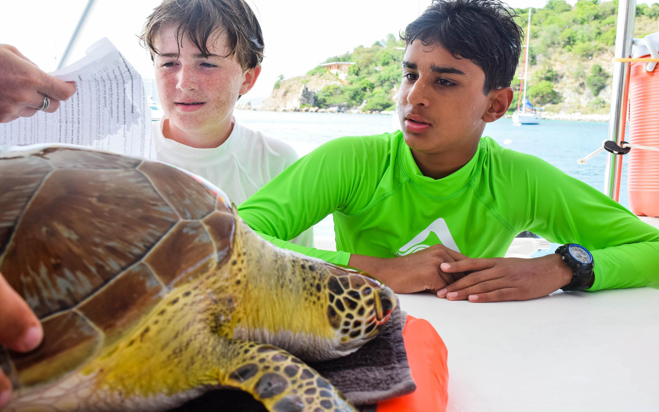 Two boys are looking at a turtle on a boat.