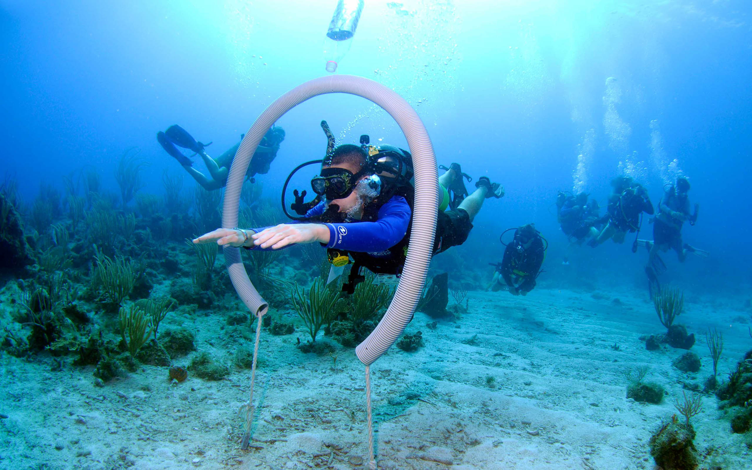 A group of scuba divers in a circle.