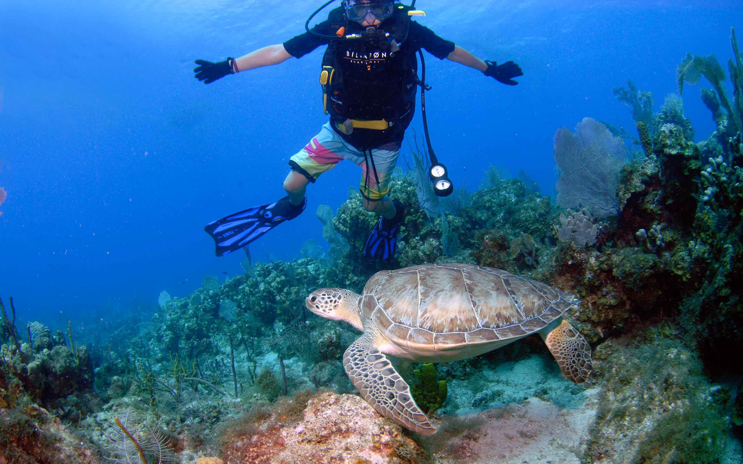 A man scuba diving with a turtle.