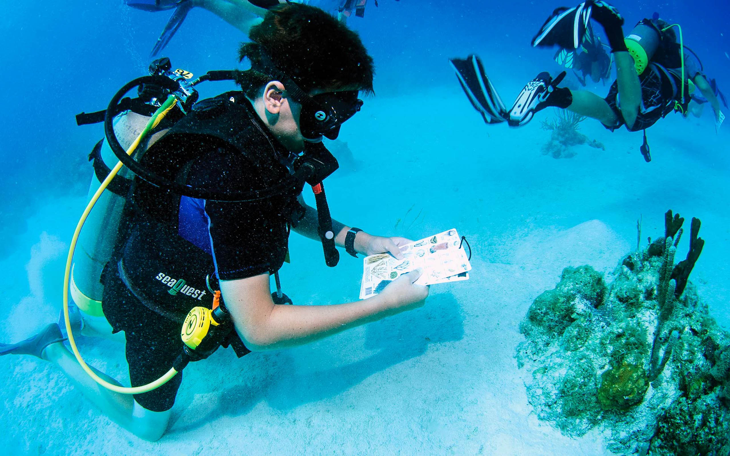 A group of scuba divers reading a book underwater.