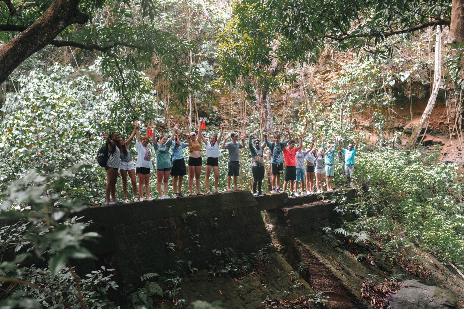 A group of people standing on a bridge in the jungle.