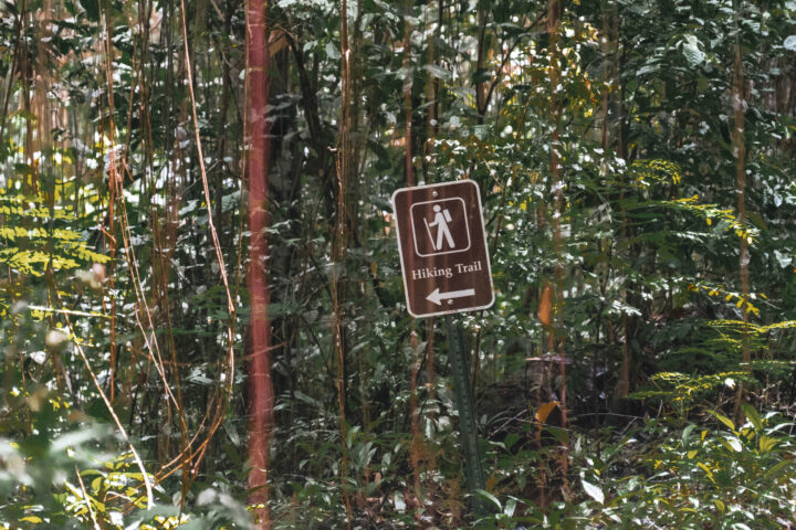 A sign in the middle of a forest.
