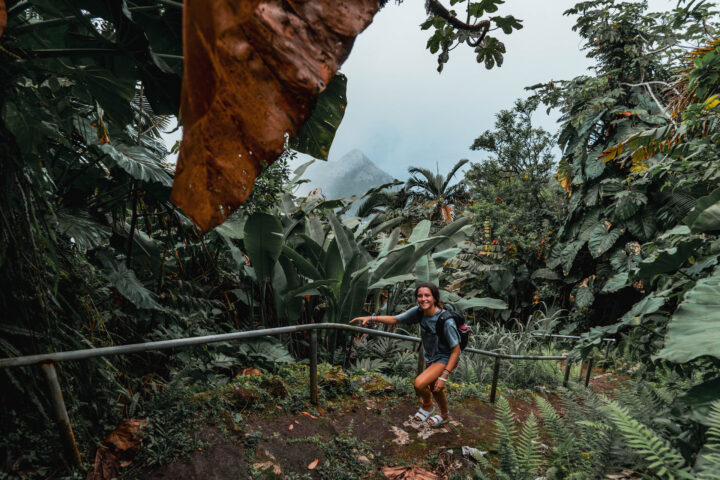 A woman standing on a railing in the jungle.