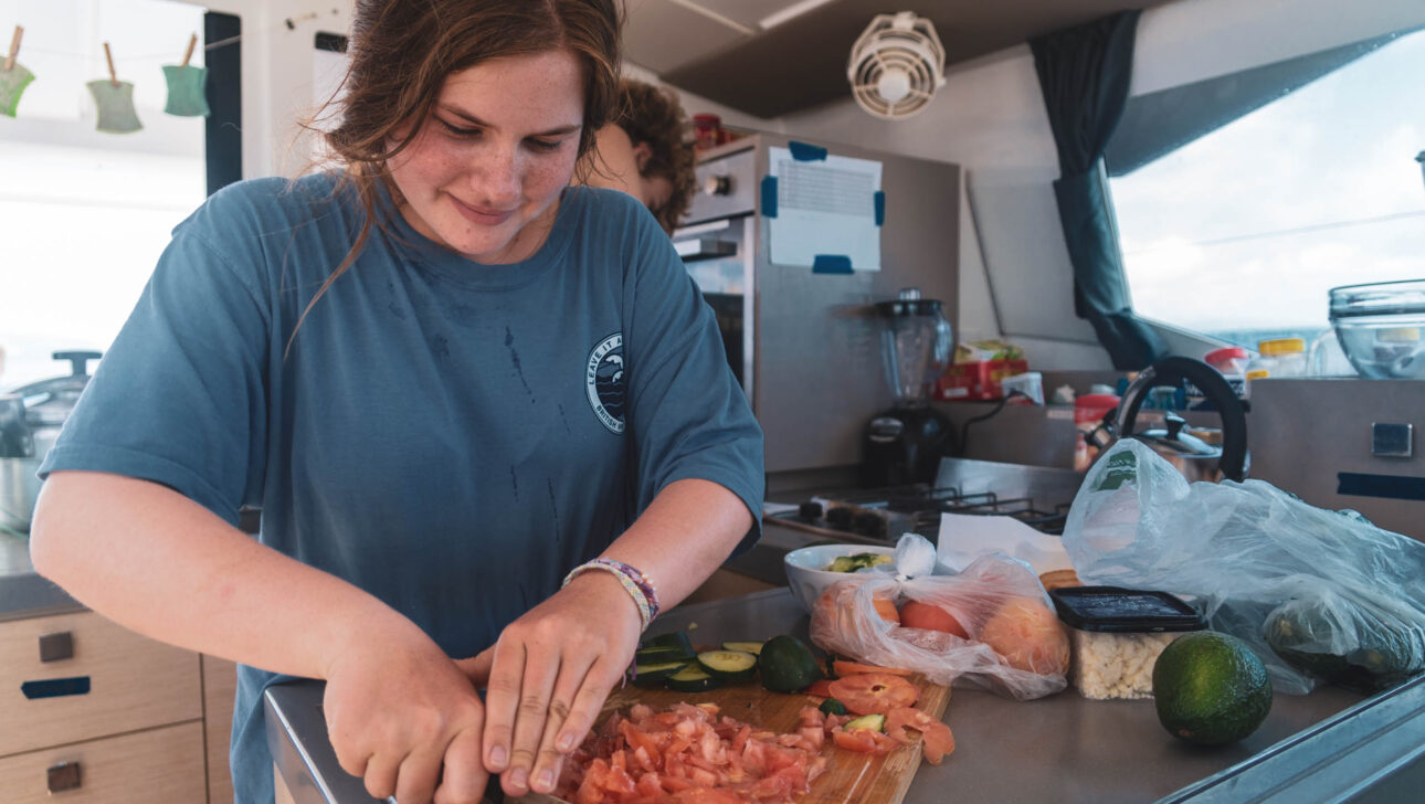 Camper chopping vegetables in a kitchen on a boat.