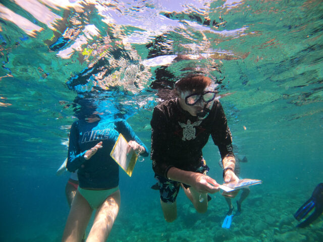 A group of people under water.