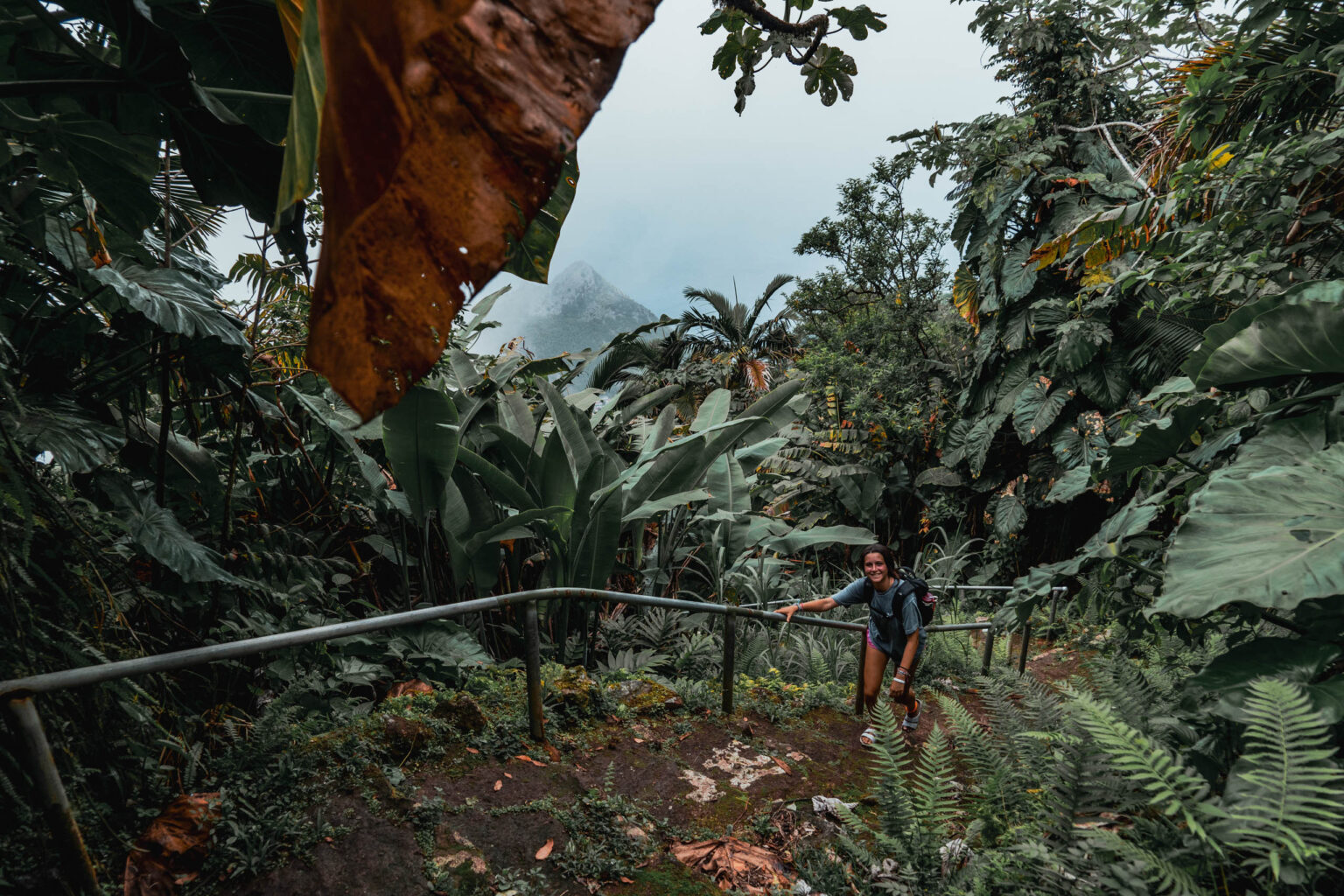 A person walking down a path in the jungle.