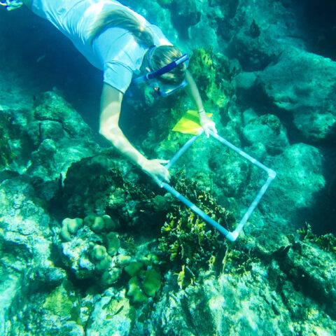 Camper exploring the ocean floor.