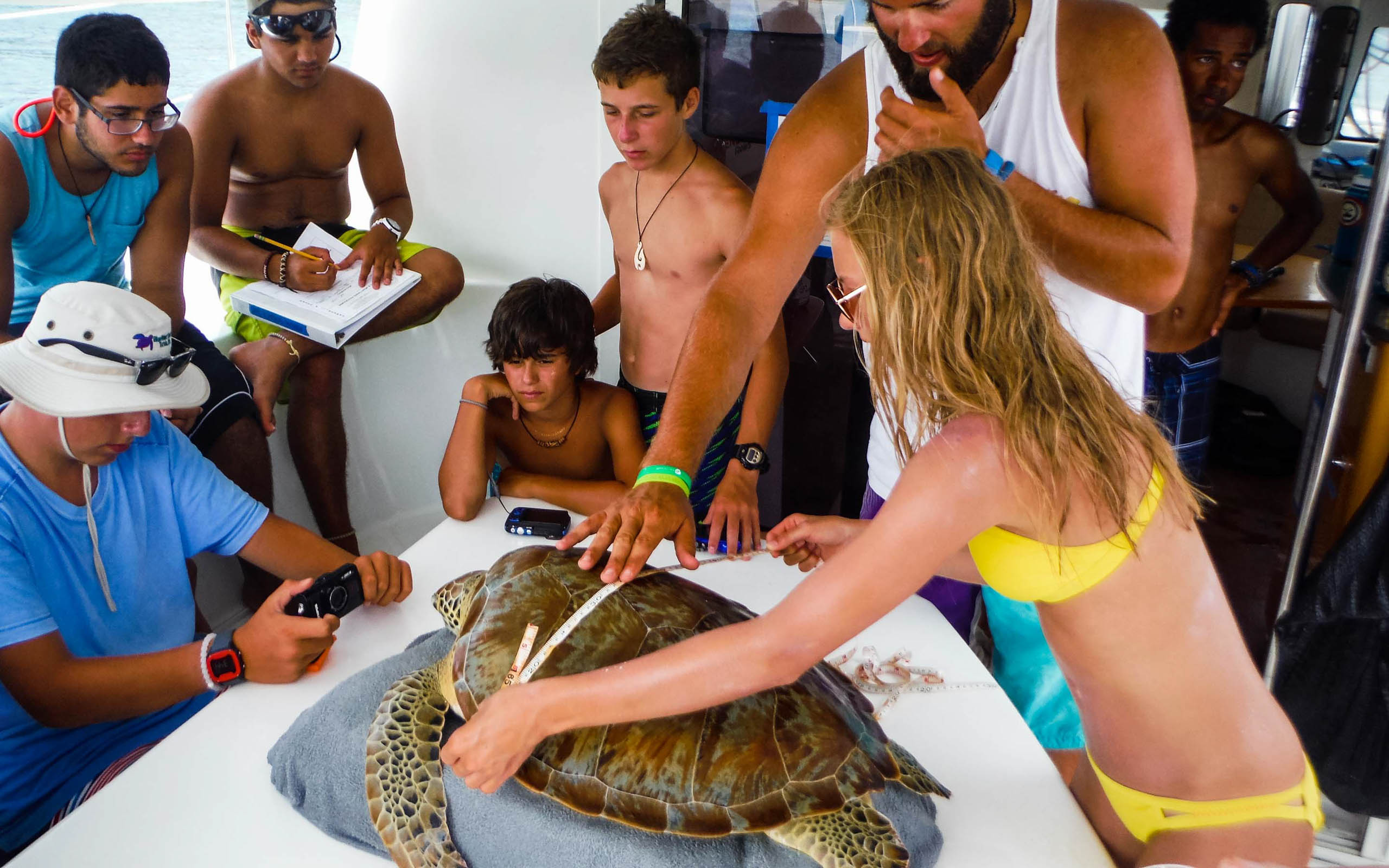 A group of people on a boat looking at a turtle.