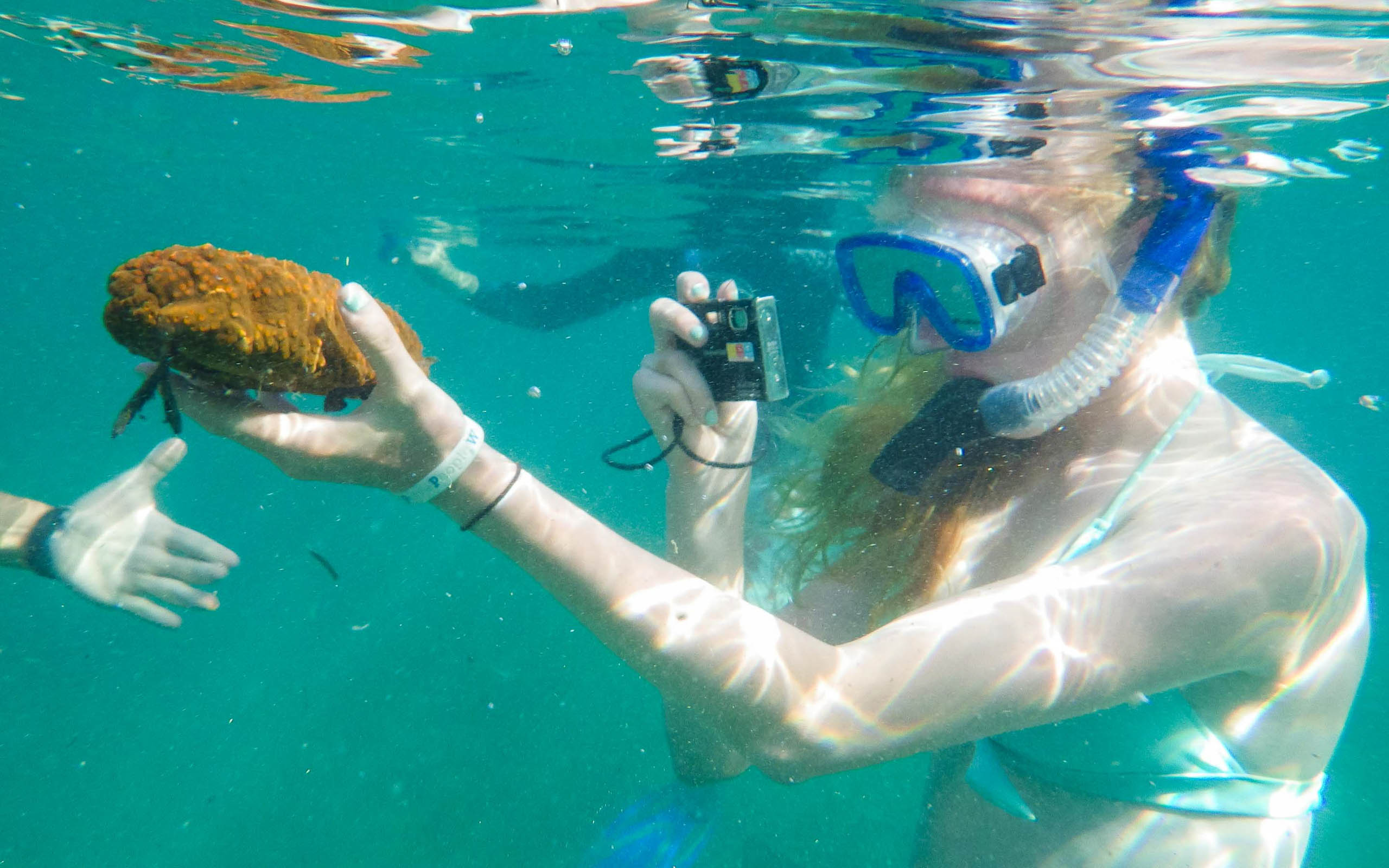 A woman snorks in the water while holding a rock.