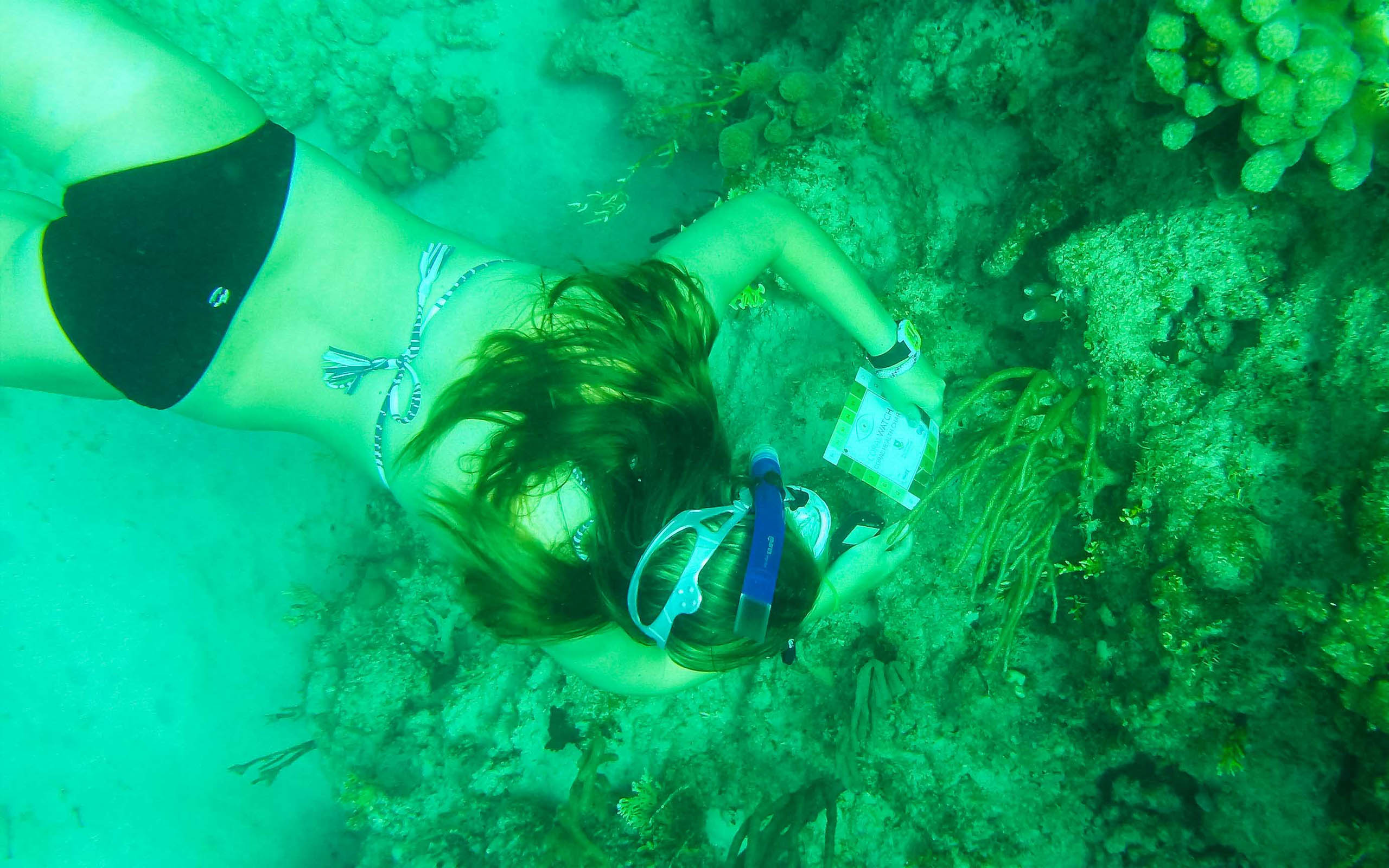 A woman in a bikini scuba diving in the ocean.