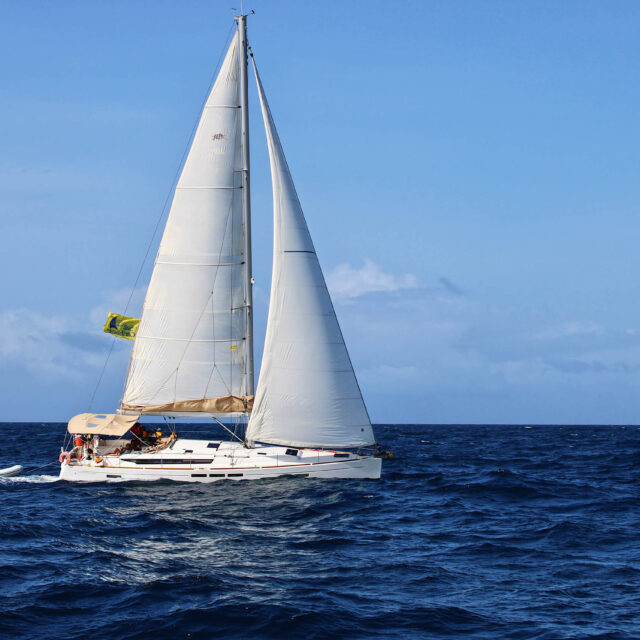 Sail boat in the ocean.