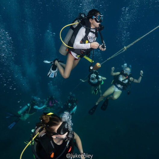 Campers scuba diving.