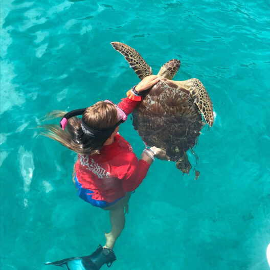 Camper holding a sea turtle.